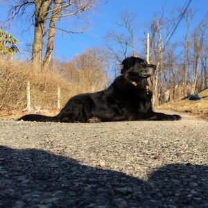 Meet your Posher, Carmen